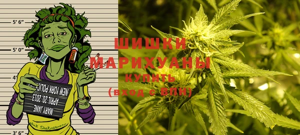 apvp Белокуриха