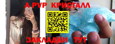 амф Камышлов