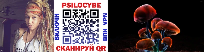 Псилоцибиновые грибы мицелий  как найти   блэк спрут вход  Малоярославец 