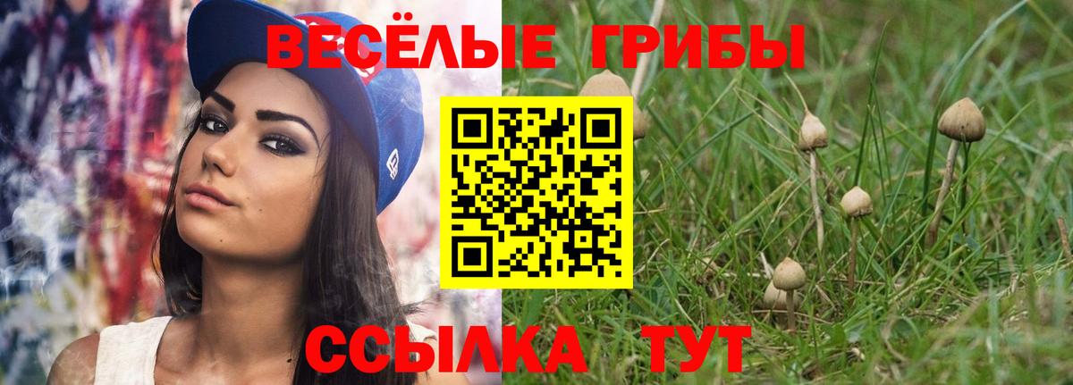 Малоярославец  Псилоцибиновые грибы Psilocybe  Вход с VPN 